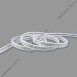 Đèn LED Dây Ngoài Trời 60 Chip LED Nanoco